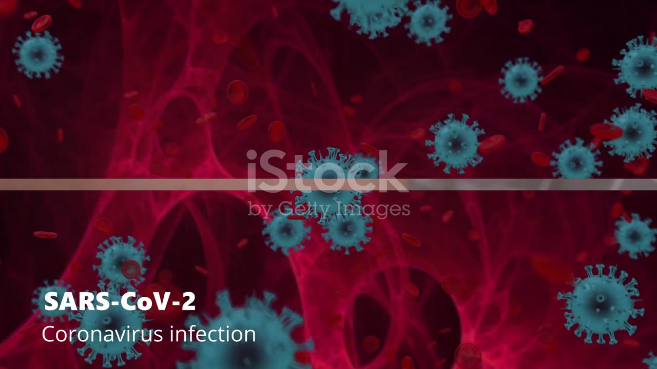 Parvovirus B19: Unmasking the Fifth Disease
