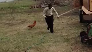 Teen Chased Away by Rooster