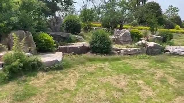 The plant and stone fit perfectly