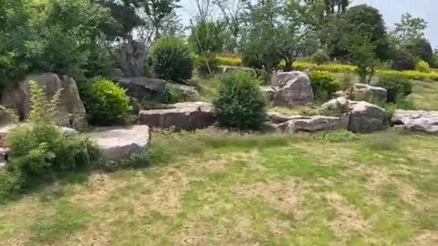 The plant and stone fit perfectly