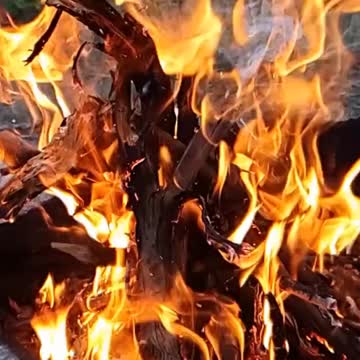 Playing With Fire In Whitehouse