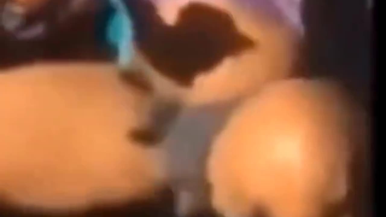 Megan Thee Stallion accidentally shows her balls