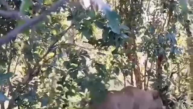 Beautiful nature