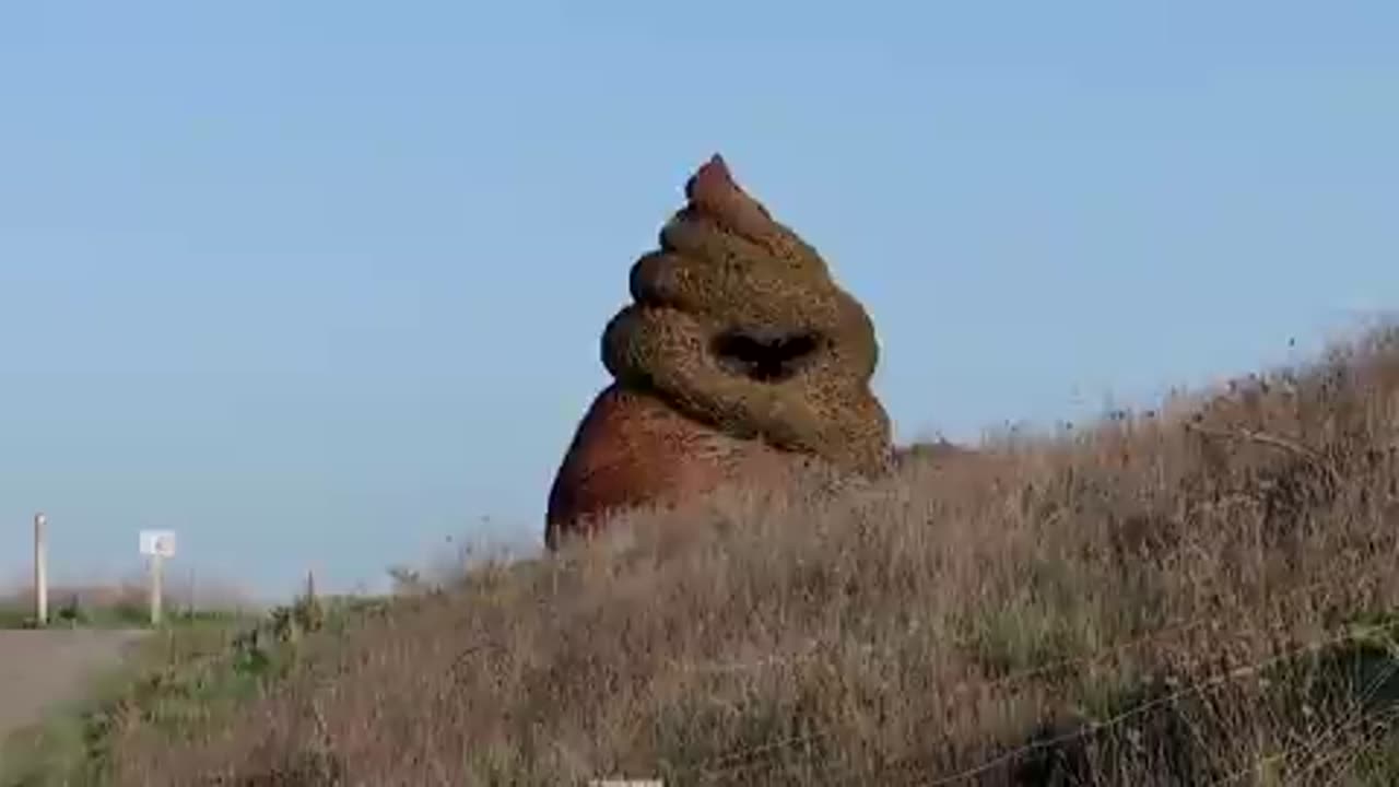 Artists responsible for crafting a wicker sculpture, likened to the poop emoji