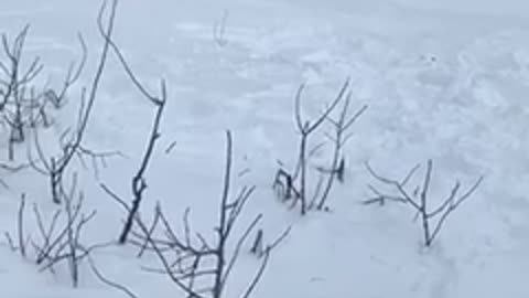 Guy skis down small hill and falls and the bottom