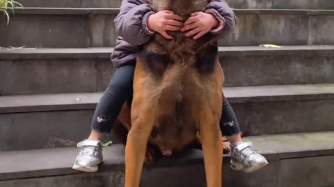 Kid playing with dog