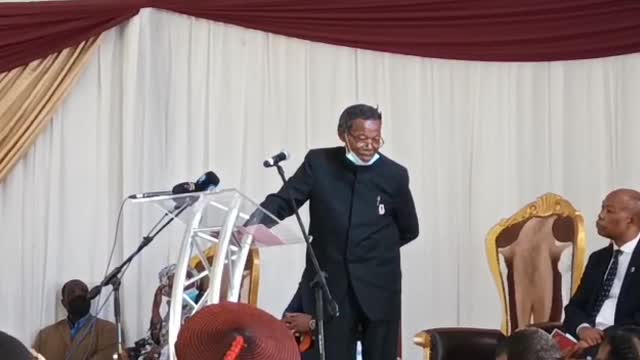 King Goodwill: Mangosuthu Buthelezi