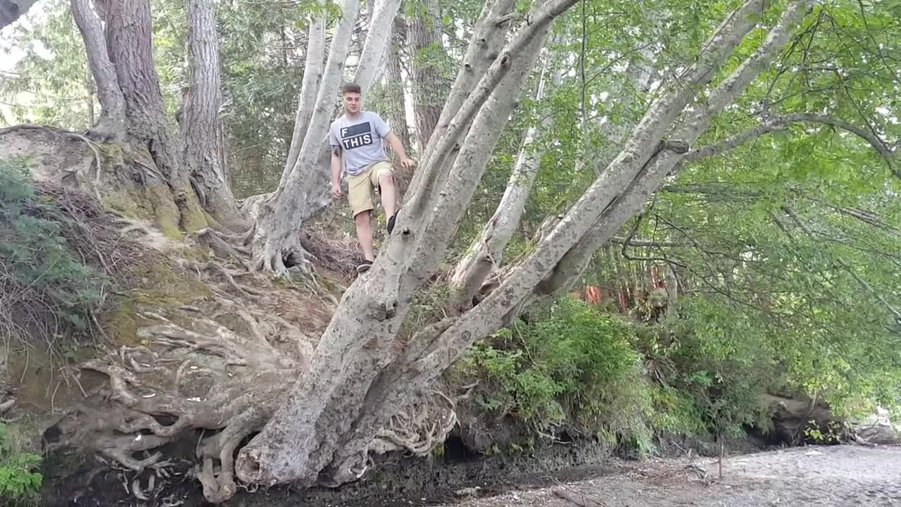 Tree jump fail