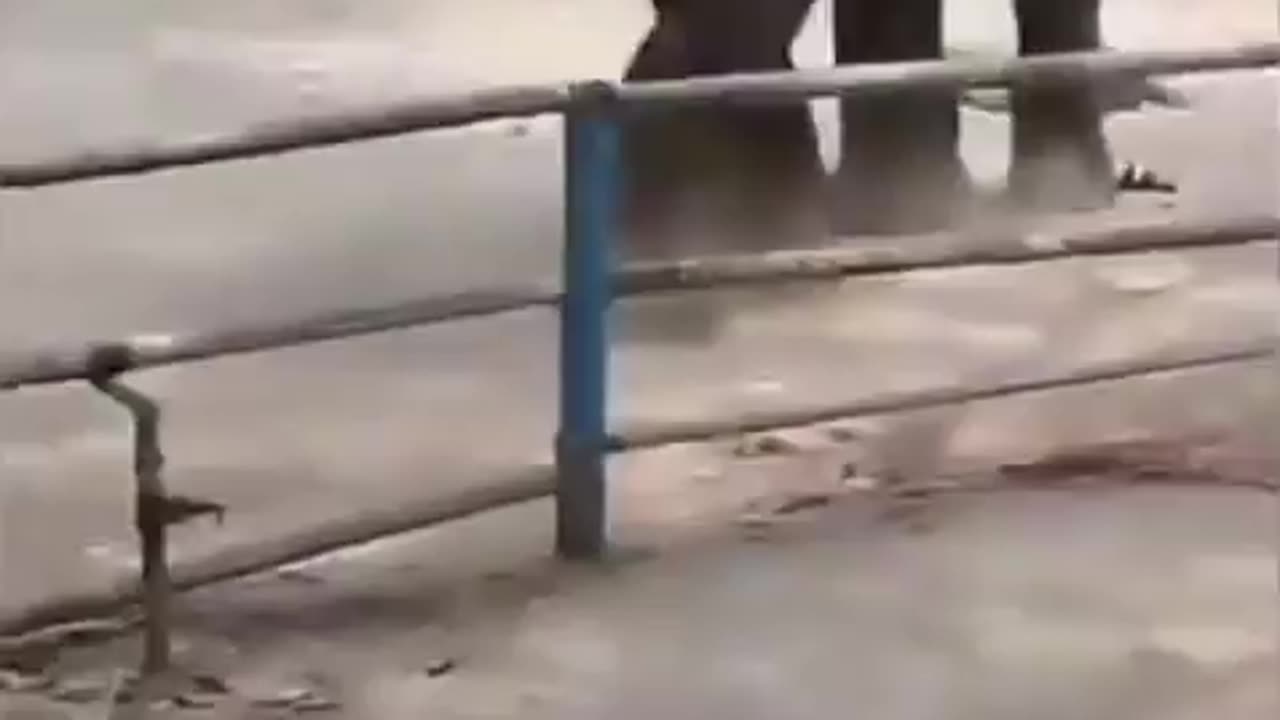 Idiot Enters Elephant Area