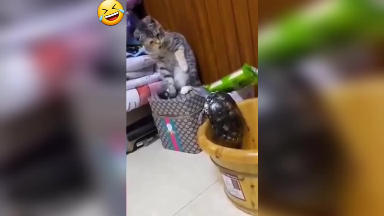 FUNNIEST CATS AND DOGS 🐱🤣 NEW FUNNY ANIMALS VIDEOS 2024 😝🦧