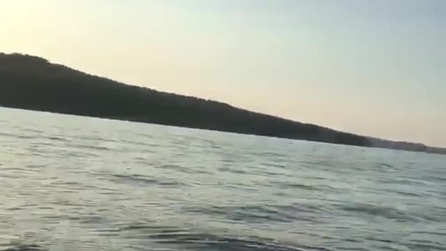 Guy slips diving off boat lands side