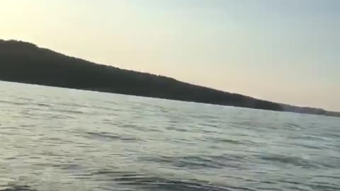 Guy slips diving off boat lands side