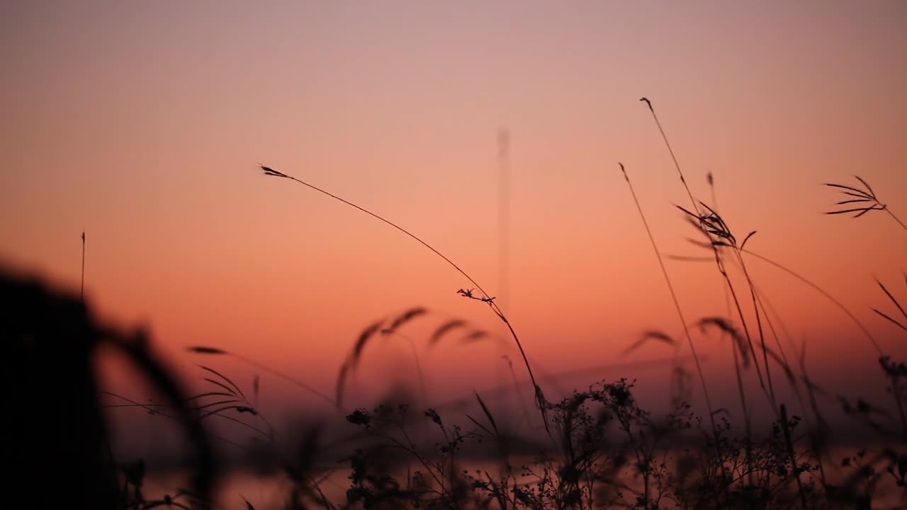 the sun has set