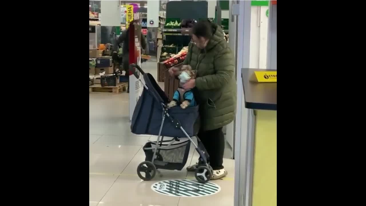 Woman Puts Mask On Dog While Shopping