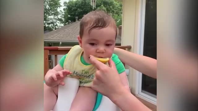 children sucking lemon