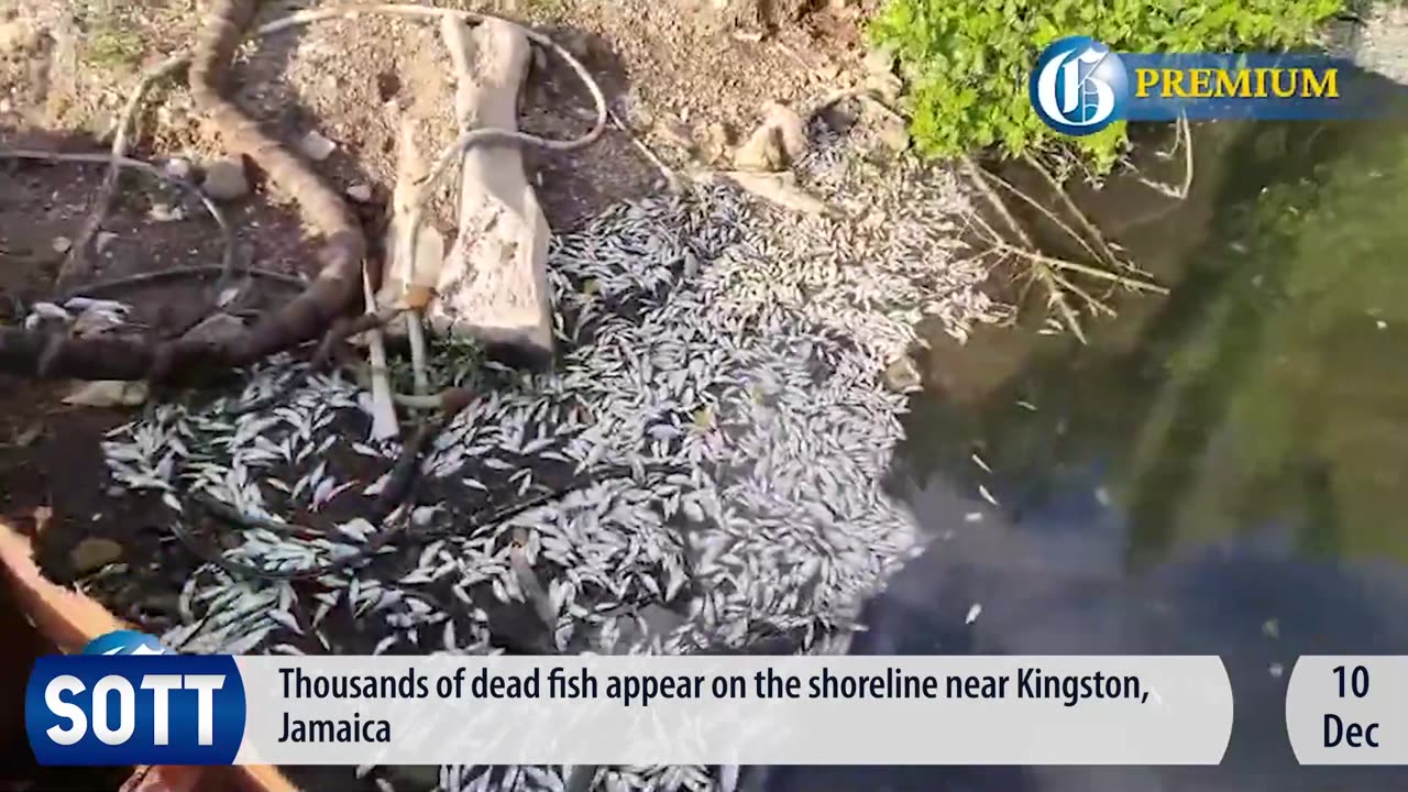 SOTT Earth Changes Summary - December 2023: Extreme Weather, Planetary Upheaval, Meteor Fireballs