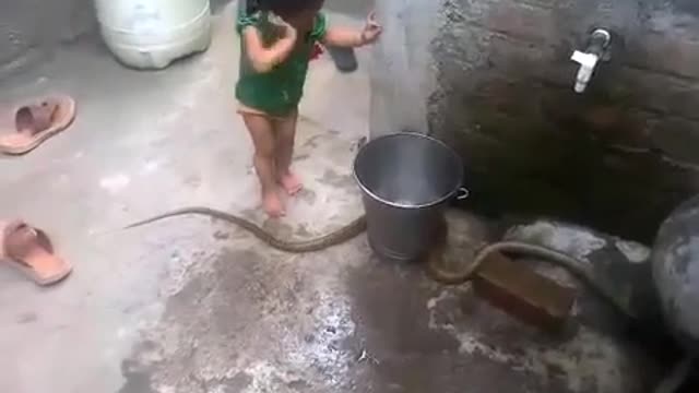 The Snake Catcher Kid