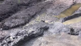 Winching out of the mud, Alaska