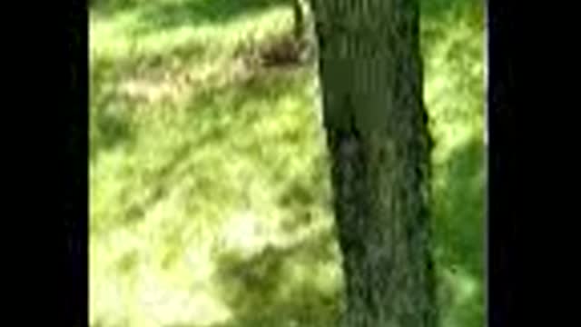 slackline training part 2 9/13/2020