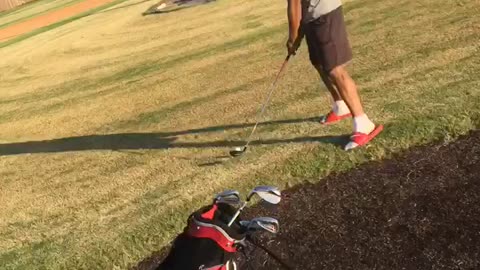 The next Tiger Woods