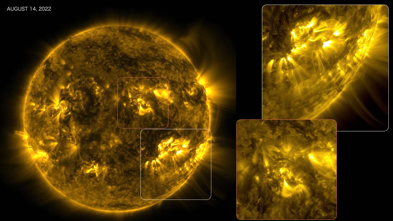 14202_Flare_Week_August2022_nasa video #NASA