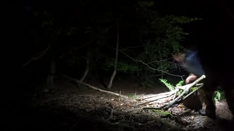 In the woods night lapse