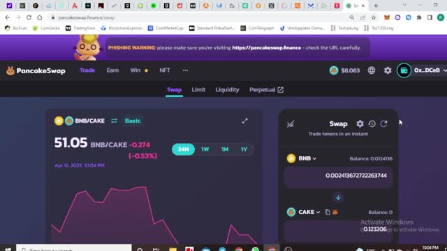 PancakeSwap Tutorial- How to use PancakeSwap | Swap | Slippage Tolerance | Yield Farming | Staking