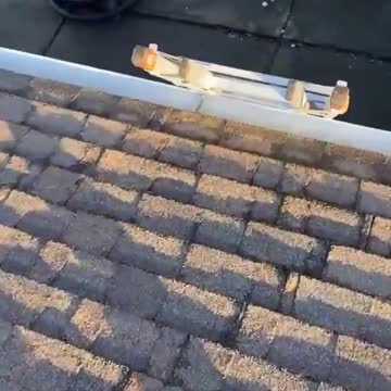 Cámaras de seguridad graban el acto temerario de un perrito por amor a su dueño