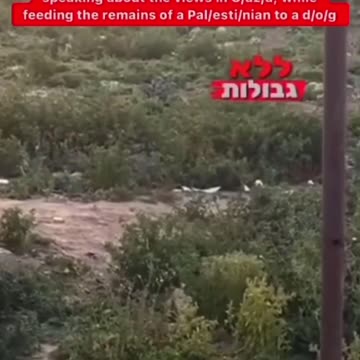A Israeli occupation soldier, shares a video of him feeding the remains of a Palestinian to a dog!