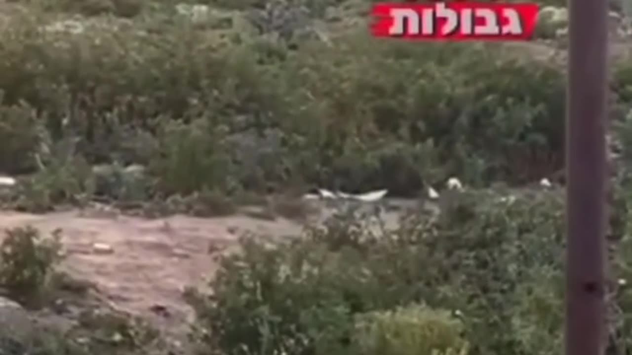 A Israeli occupation soldier, shares a video of him feeding the remains of a Palestinian to a dog!