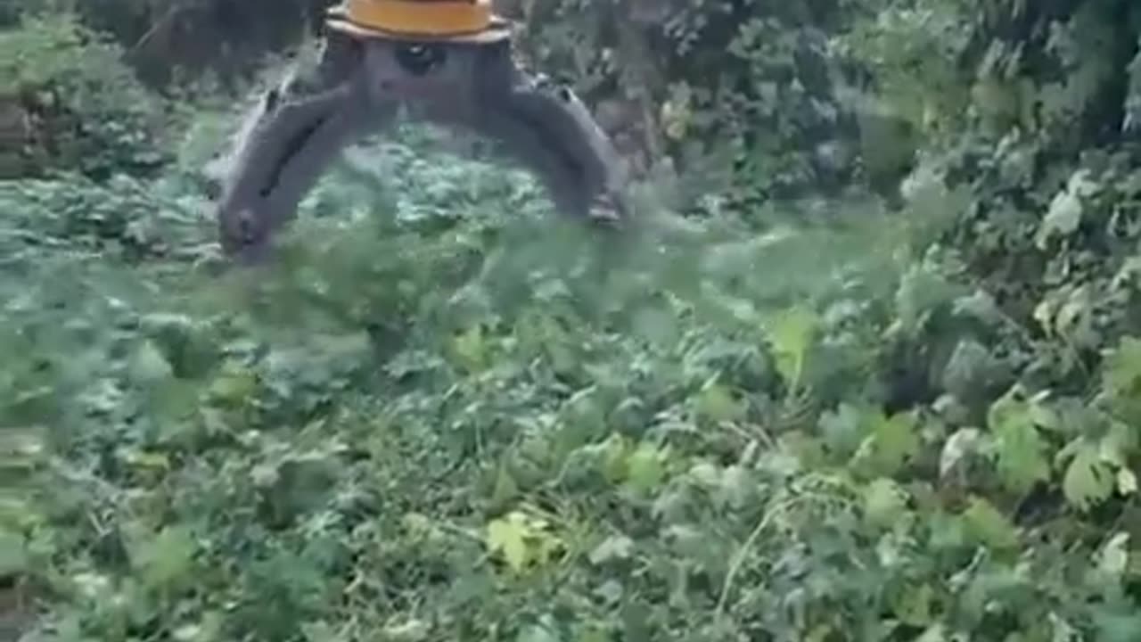 Cleaning weed with the good ol pasta technique