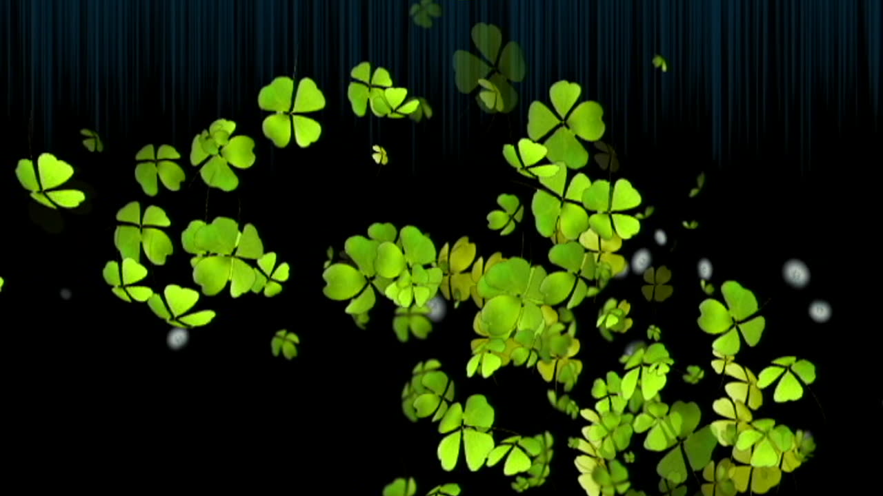 SUNDAY MORNING COMIN' DOWN (LIVE VERSION)