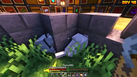 I survived 100 on one block