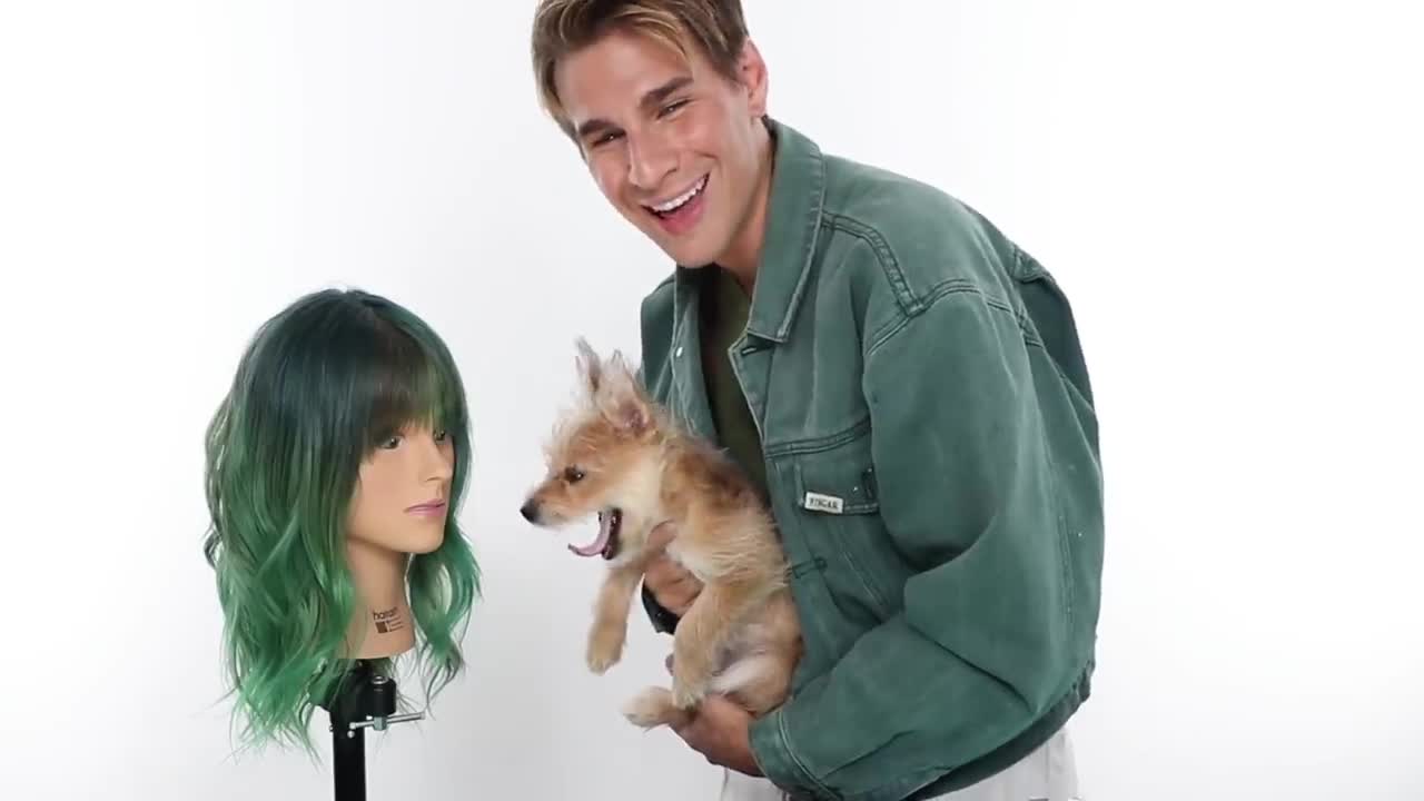 My NEW PUPPY Chooses The Cut, Color And Style