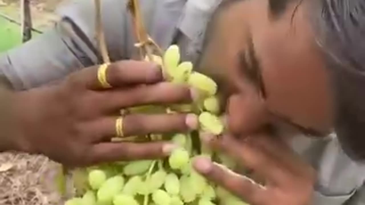 Grapes