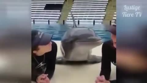 Funny shark kissing human friends