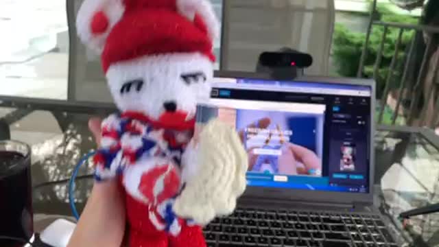 Polish Agnes bear and Freedom Rallies helping hands