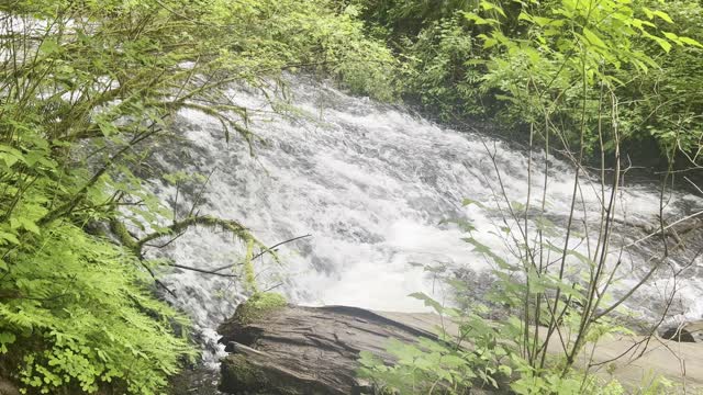 Upper Latourell Falls Downstream Flow – Columbia River Gorge National Scenic Area – Oregon – 4K