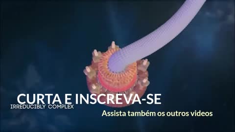 A INCOERÊNCIA DOS EVOLUCIONISTAS COM O DESIGN INTELIGENTE E A PANSPERMIA