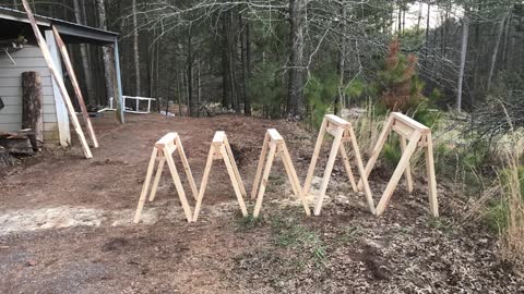 Having Fun Turning a Log Into Useful Sawhorses!