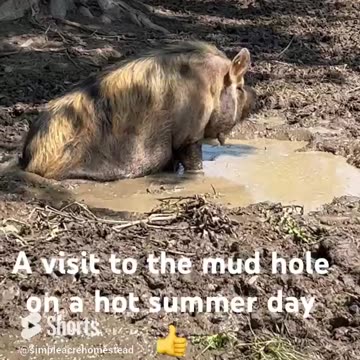 HOT 🔥 HOT 🔥 HOT 🔥