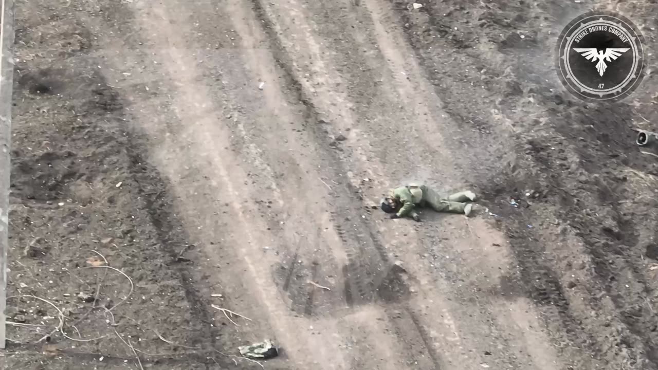 Bradley carnage, aftermath
