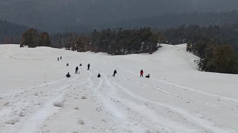 Himachal snowfall in (rohru gawass ,shgali )