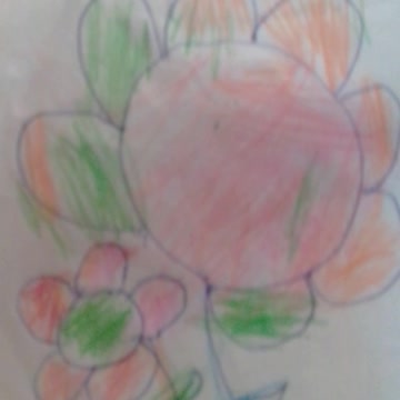 flores desenho