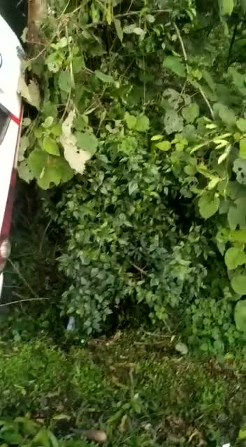 Accidente de tránsito mantiene cerrada la vía a Barbosa, Santander