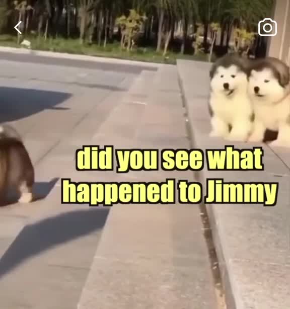 i cant wait to go to the