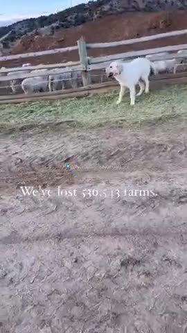 Over a half a MILLION farms, GONE” “At the same time, we've lost a 165 MILLION acres of farmland.”