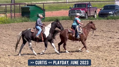 Recluse Playday June 2023 - Curtis