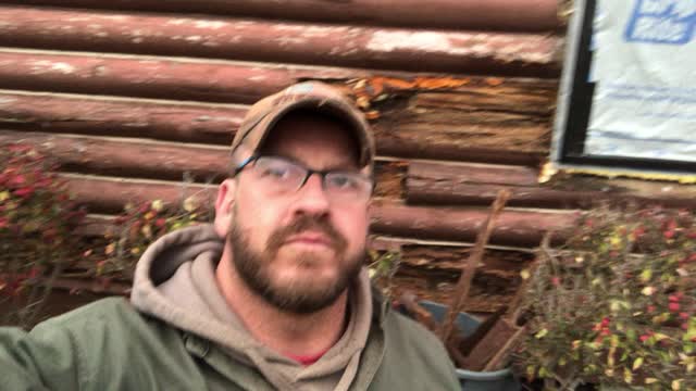Don’t paint the logs
