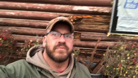 Don’t paint the logs